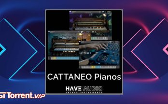 Have Audio CATTANEO Pianos