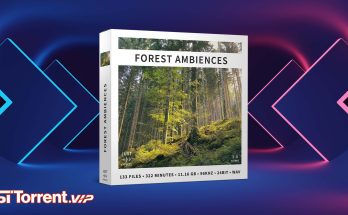 Just Sound Effects Forest Ambiences (WAV)