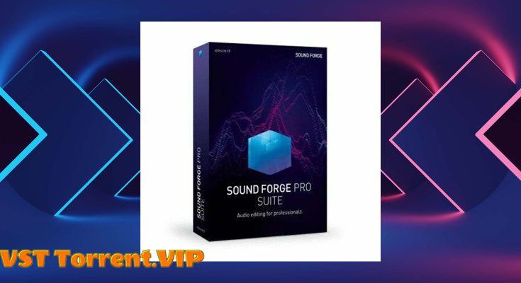 MAGIX SOUND FORGE Pro Suite 18.0.0.21 x64