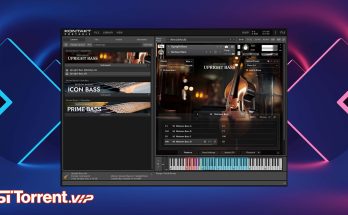 Native Instruments Session Bassist UPRIGHT BASS (KONTAKT)