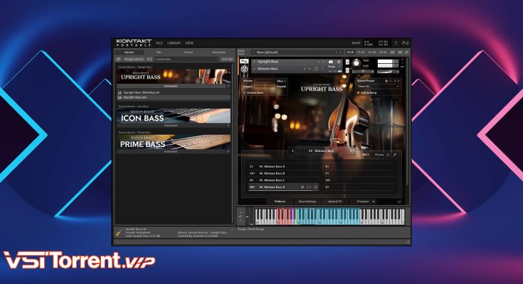 Native Instruments Session Bassist UPRIGHT BASS (KONTAKT)