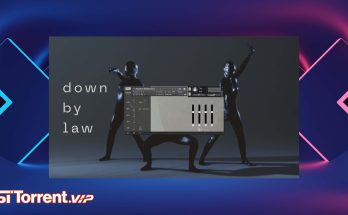 Wrongtools Down By Law (KONTAKT)