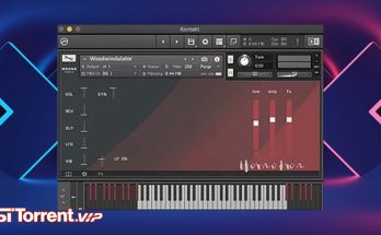 Wrongtools Woodwindulator (KONTAKT)