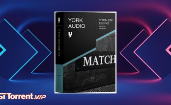 York Audio MTCH 212 ESD-V2 (Kemper, WAV) [IR library]