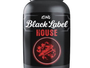 Kling Music – Black Label House Production Stack (FL Studio, SERUM, VITAL, WAV)