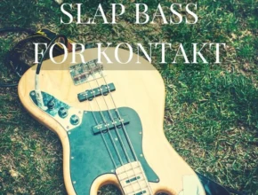 Past to Future Reverbs – Slap Bass (KONTAKT)